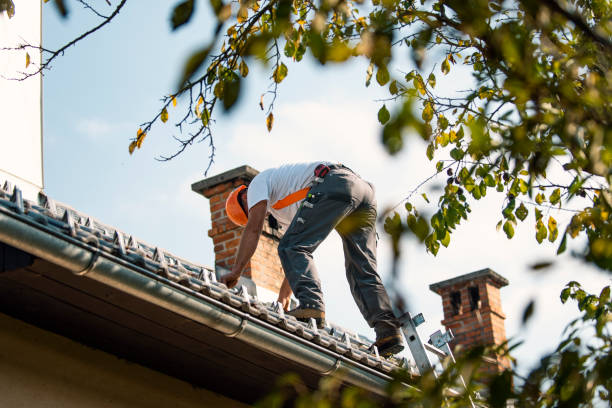 Best Metal Roofing Contractor  in Woodville, FL