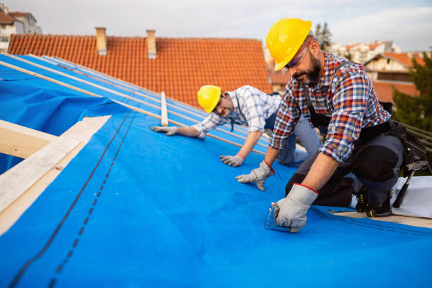 Best Storm Damage Roof Repair  in Woodville, FL
