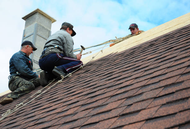 Best Roof Maintenance Services  in Woodville, FL